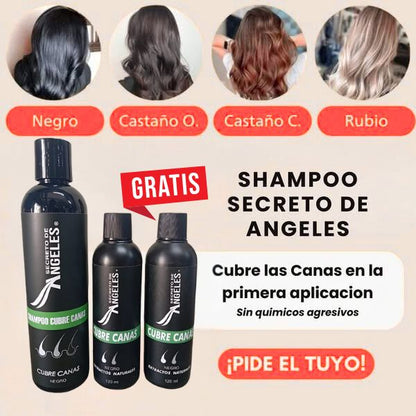 shampo cubre las canas